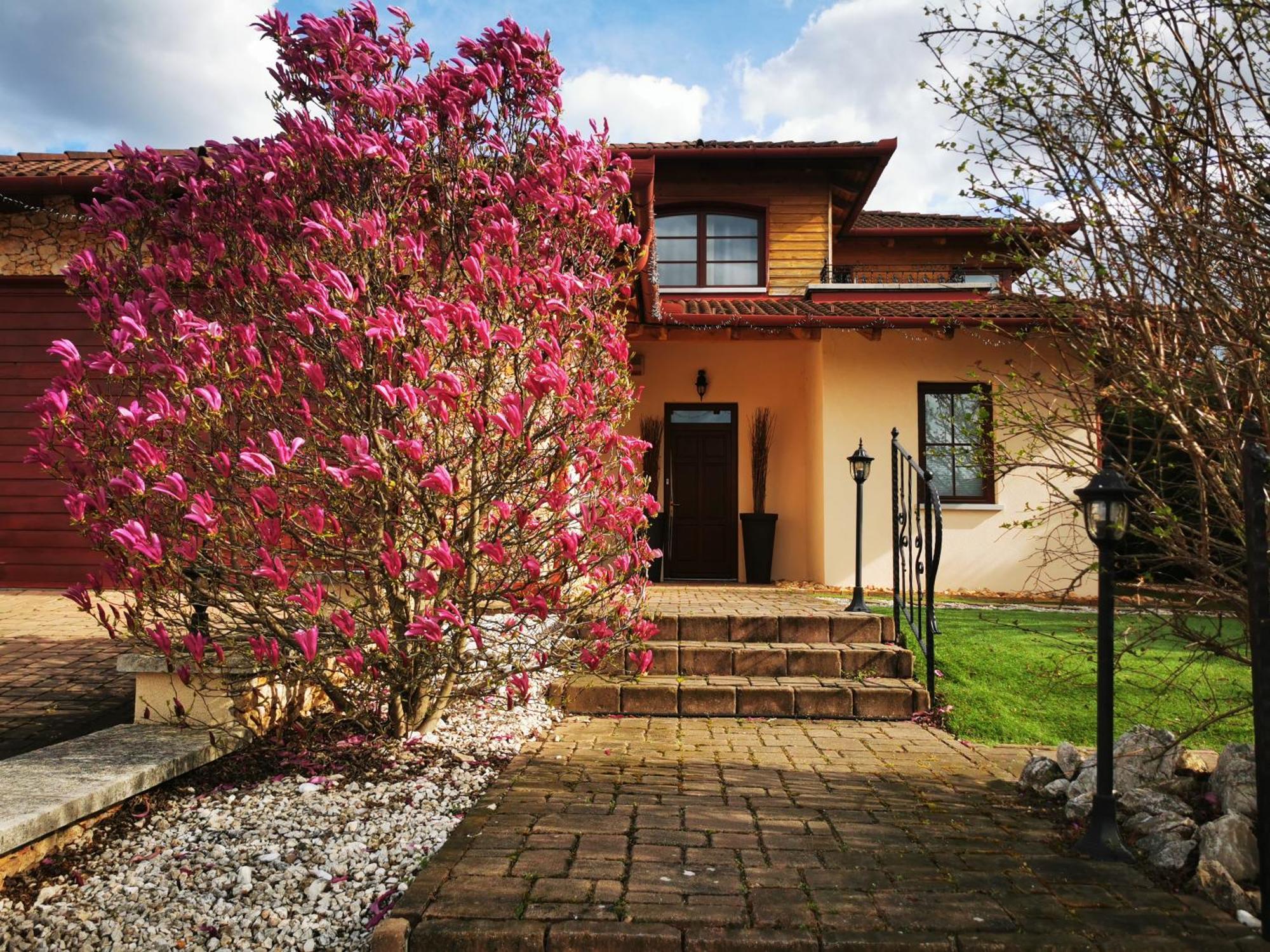 Luxury Basement In The Surrounding Of Budapest Apartment โมจเยอโรด ภายนอก รูปภาพ